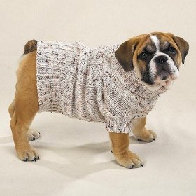 Psí oblečky – dog sweaters