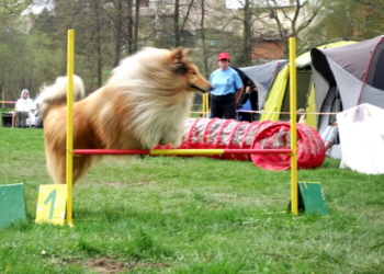 Podhorský čaroskok – 27.04.2013