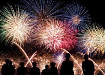 Zábavní pyrotechnika – hluk, strach, stres, smrt