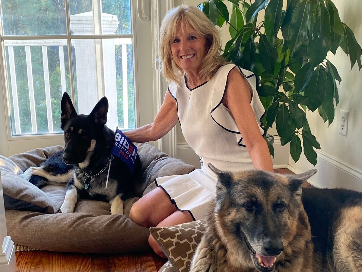 Jill Biden se svými psy Champem a Majorem