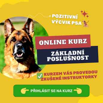 Online kurz Základní poslušnosti - od největší online psí školy v ČR