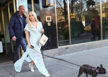 Lady Gaga nabízí půl milionu dolarů za svoje ukradené psy!