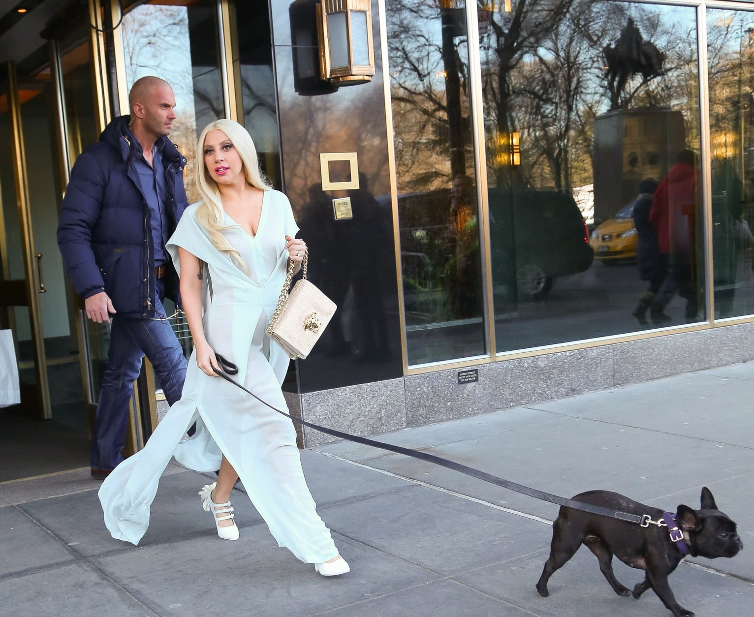 Lady Gaga nabízí půl milionu dolarů za svoje ukradené psy!
