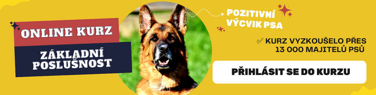 Online kurz Základní poslušnost pro psy